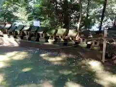 開運招福 飯玉神社(群馬県)