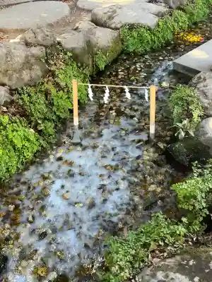 川越氷川神社の{uncategorized: "未分類", other: "その他", undefined: "問題あり", building: "その他建物", grave: "お墓", sacred_gate: "鳥居", guardian: "狛犬", statue: "像", buddha: "仏像", history: "歴史", nature: "自然", garden: "庭園", animal: "動物", pagoda: "塔", temizu: "手水舎", mountain_gate: "山門・神門", sanctuary: "本殿・本堂", subordinate: "末社・摂社", art: "芸術", scenery: "景色", jizo: "地蔵", ema: "絵馬", goshuin: "御朱印", omikuji: "おみくじ", items: "授与品その他", amulet: "お守り", goshuincho: "御朱印帳", eats: "食事", festival: "お祭り", votive_dance: "神楽", shichigosan: "七五三参", wedding: "結婚式", experience: "体験その他", initially: "初詣", around: "周辺", anti_infection: "感染症対策"}