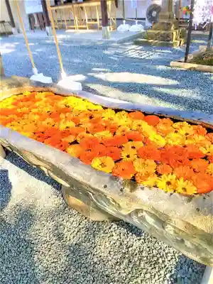 福母八幡宮の手水舎