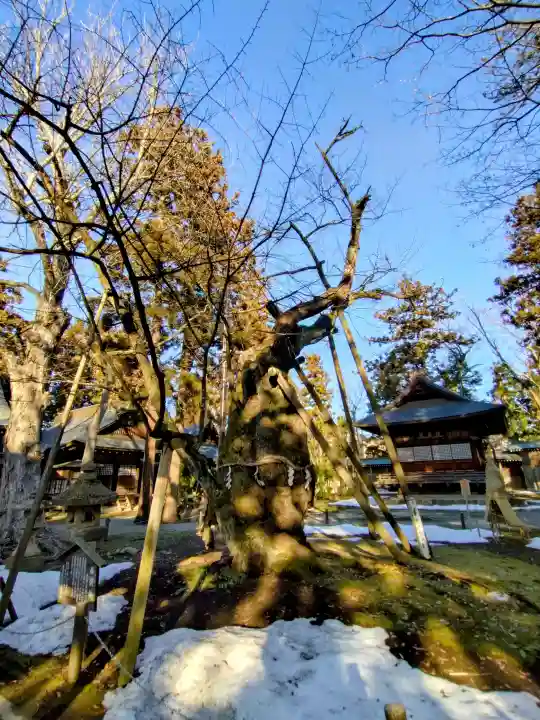 蠶養國神社(福島県)