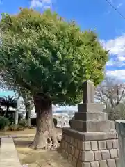 龍本寺(神奈川県)