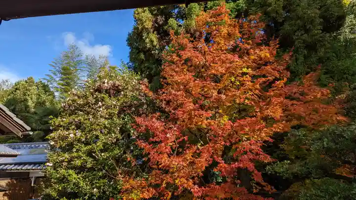雲龍院(京都府)
