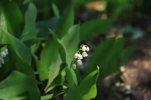庄野菅原神社の庭園