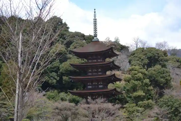 瑠璃光寺(山口県)