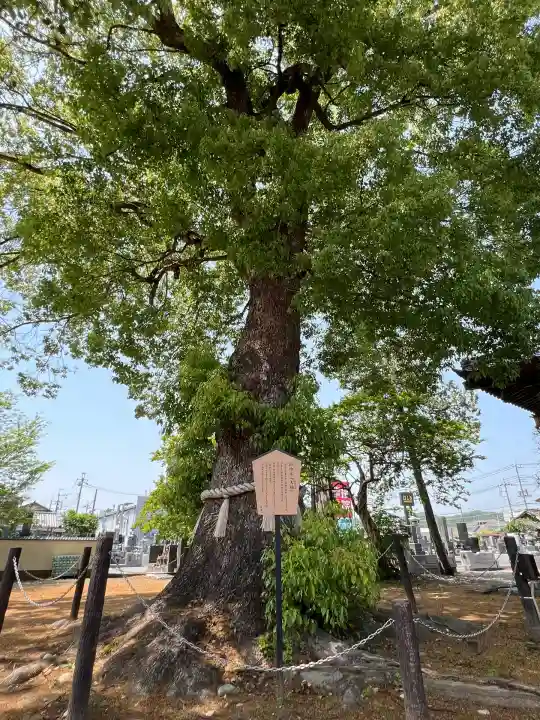 龍泉寺(足利厄除大師)(栃木県)