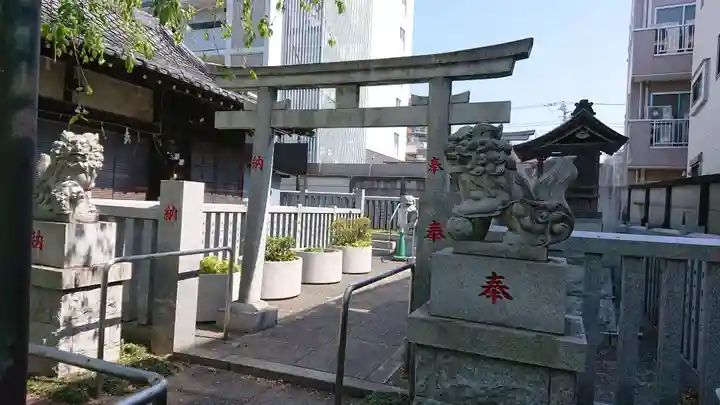 荻窪白山神社の鳥居