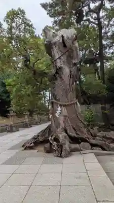 住吉大社(大阪府)