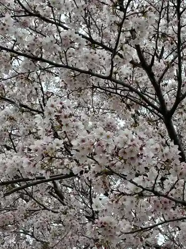甲神社(茨城県)