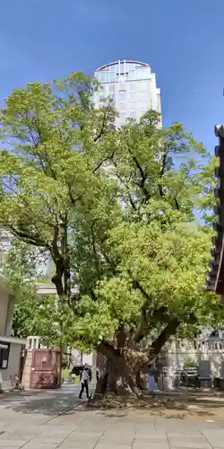 難波神社(大阪府)