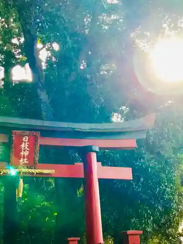 日枝神社の鳥居