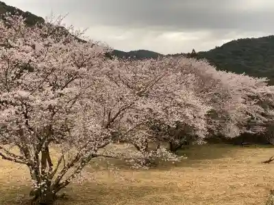 入鹿八幡宮の{uncategorized: "未分類", other: "その他", undefined: "問題あり", building: "その他建物", grave: "お墓", sacred_gate: "鳥居", guardian: "狛犬", statue: "像", buddha: "仏像", history: "歴史", nature: "自然", garden: "庭園", animal: "動物", pagoda: "塔", temizu: "手水舎", mountain_gate: "山門・神門", sanctuary: "本殿・本堂", subordinate: "末社・摂社", art: "芸術", scenery: "景色", jizo: "地蔵", ema: "絵馬", goshuin: "御朱印", omikuji: "おみくじ", items: "授与品その他", amulet: "お守り", goshuincho: "御朱印帳", eats: "食事", festival: "お祭り", votive_dance: "神楽", shichigosan: "七五三参", wedding: "結婚式", experience: "体験その他", initially: "初詣", around: "周辺", anti_infection: "感染症対策"}