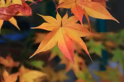 御嶽山神社の庭園