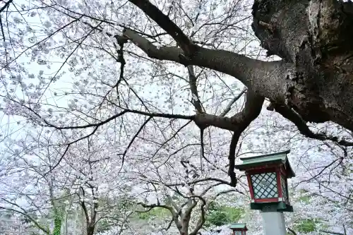 彌彦神社(新潟県)