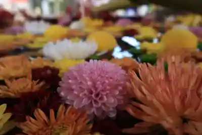 石清水八幡宮の手水舎