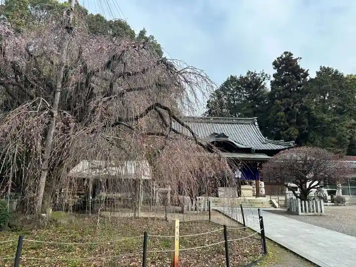 (長良)天神神社(岐阜県)