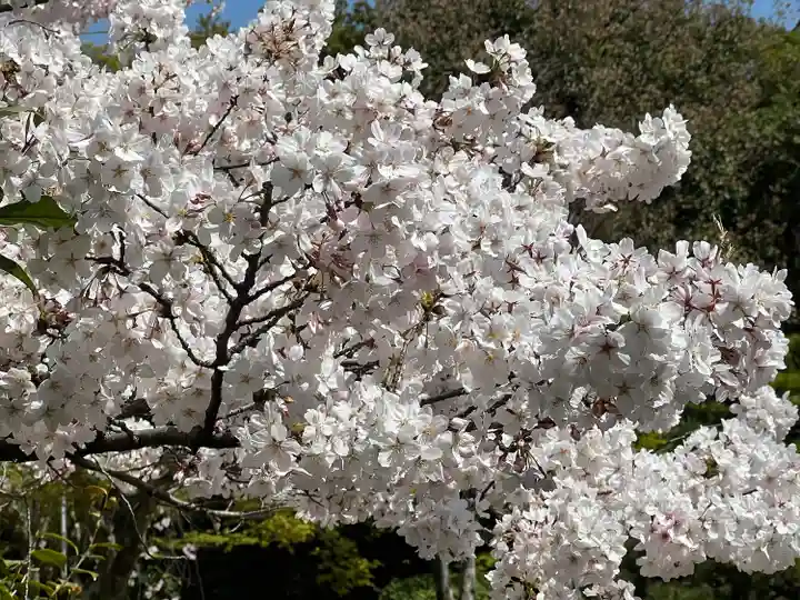 法金剛院(京都府)