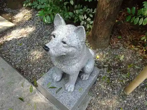 座間神社の狛犬