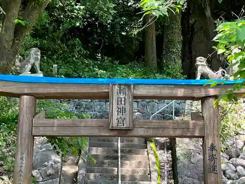 瀬田神宮の鳥居