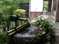 宝泉院の手水舎