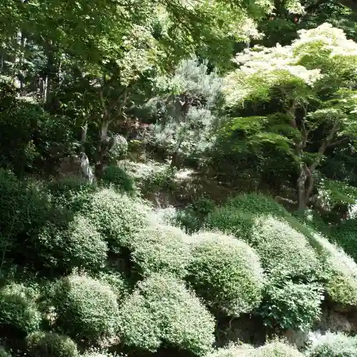 柳谷観音　楊谷寺(京都府)