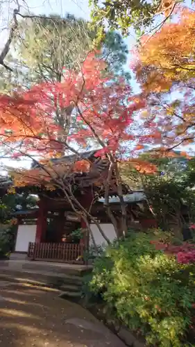 本土寺の山門・神門