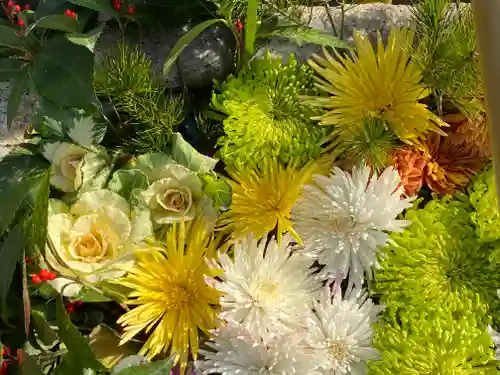 横浜御嶽神社の手水舎