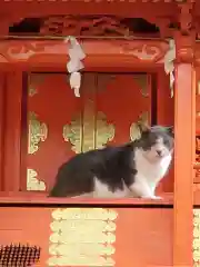 水野社の動物