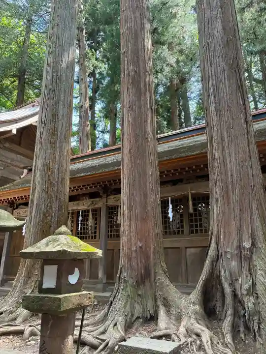 諏訪大社の{uncategorized: "未分類", other: "その他", undefined: "問題あり", building: "その他建物", grave: "お墓", sacred_gate: "鳥居", guardian: "狛犬", statue: "像", buddha: "仏像", history: "歴史", nature: "自然", garden: "庭園", animal: "動物", pagoda: "塔", temizu: "手水舎", mountain_gate: "山門・神門", sanctuary: "本殿・本堂", subordinate: "末社・摂社", art: "芸術", scenery: "景色", jizo: "地蔵", ema: "絵馬", goshuin: "御朱印", omikuji: "おみくじ", items: "授与品その他", amulet: "お守り", goshuincho: "御朱印帳", eats: "食事", festival: "お祭り", votive_dance: "神楽", shichigosan: "七五三参", wedding: "結婚式", experience: "体験その他", initially: "初詣", around: "周辺", anti_infection: "感染症対策"}