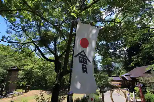 土津神社｜こどもと出世の神さまの景色