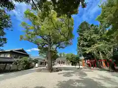 久居八幡宮（野邊野神社）(三重県)