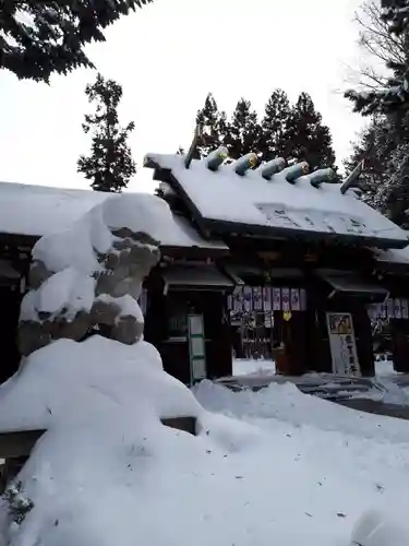 琴似神社の狛犬