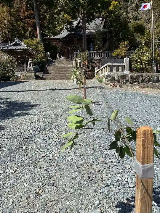 飯田八幡神社(埼玉県)