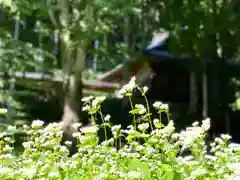 子檀嶺神社(長野県)