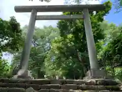 新田神社の鳥居