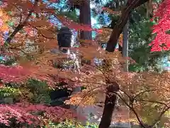 榮攝院（栄摂院）(京都府)