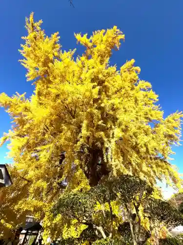 丹生酒殿神社(和歌山県)