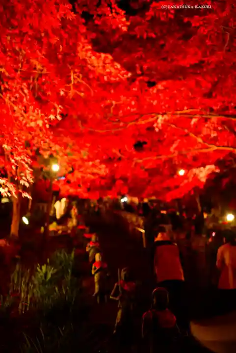 大山寺(神奈川県)