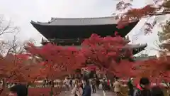 南禅寺の建物その他