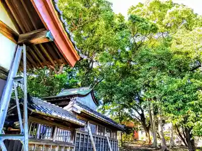 津島社（乙川津島神社）の本殿・本堂