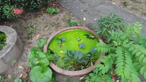 祐正寺(京都府)
