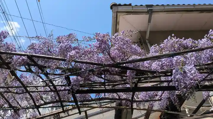 妙壽禅寺(妙寿寺)(大阪府)
