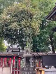 下谷神社の狛犬