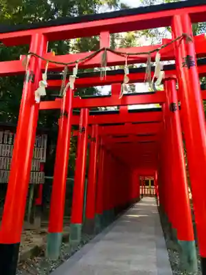 大津神社の鳥居