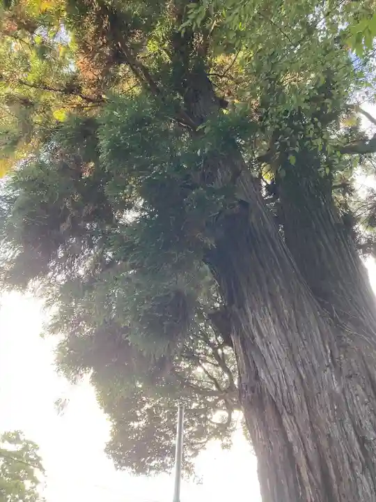 息栖神社(茨城県)