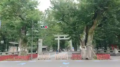 大國魂神社の鳥居