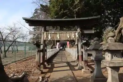 馬場氷川神社の鳥居