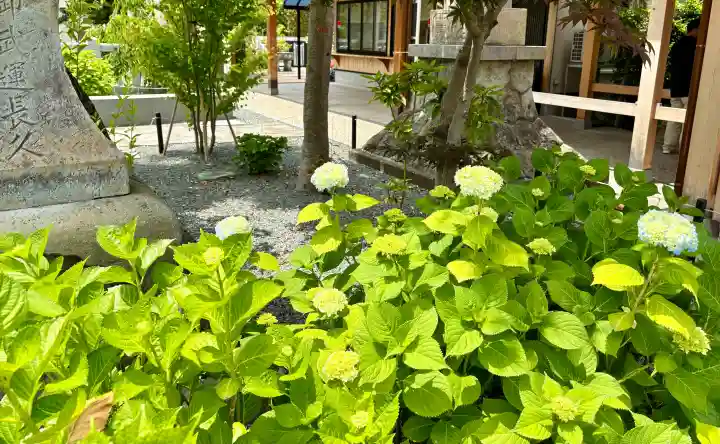 總社 和田八幡宮の{uncategorized: "未分類", other: "その他", undefined: "問題あり", building: "その他建物", grave: "お墓", sacred_gate: "鳥居", guardian: "狛犬", statue: "像", buddha: "仏像", history: "歴史", nature: "自然", garden: "庭園", animal: "動物", pagoda: "塔", temizu: "手水舎", mountain_gate: "山門・神門", sanctuary: "本殿・本堂", subordinate: "末社・摂社", art: "芸術", scenery: "景色", jizo: "地蔵", ema: "絵馬", goshuin: "御朱印", omikuji: "おみくじ", items: "授与品その他", amulet: "お守り", goshuincho: "御朱印帳", eats: "食事", festival: "お祭り", votive_dance: "神楽", shichigosan: "七五三参", wedding: "結婚式", experience: "体験その他", initially: "初詣", around: "周辺", anti_infection: "感染症対策"}