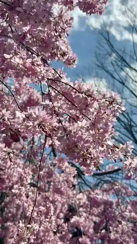 水火天満宮(京都府)