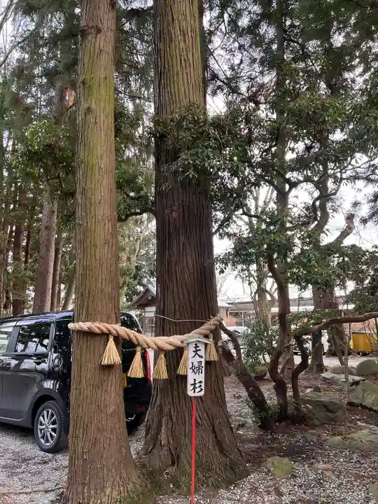 駒形神社(岩手県)