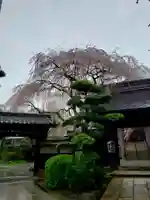 常圓寺(東京都)